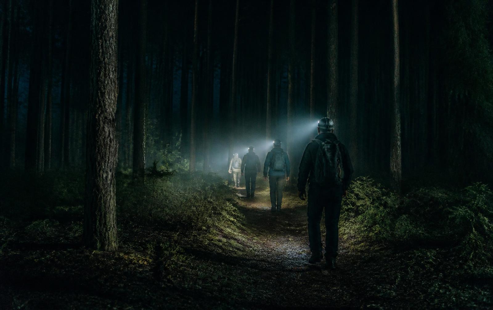 Grupa idąca nocą leśną ścieżką w świetle latarek